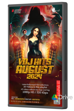 VDJ Hits August (2024)